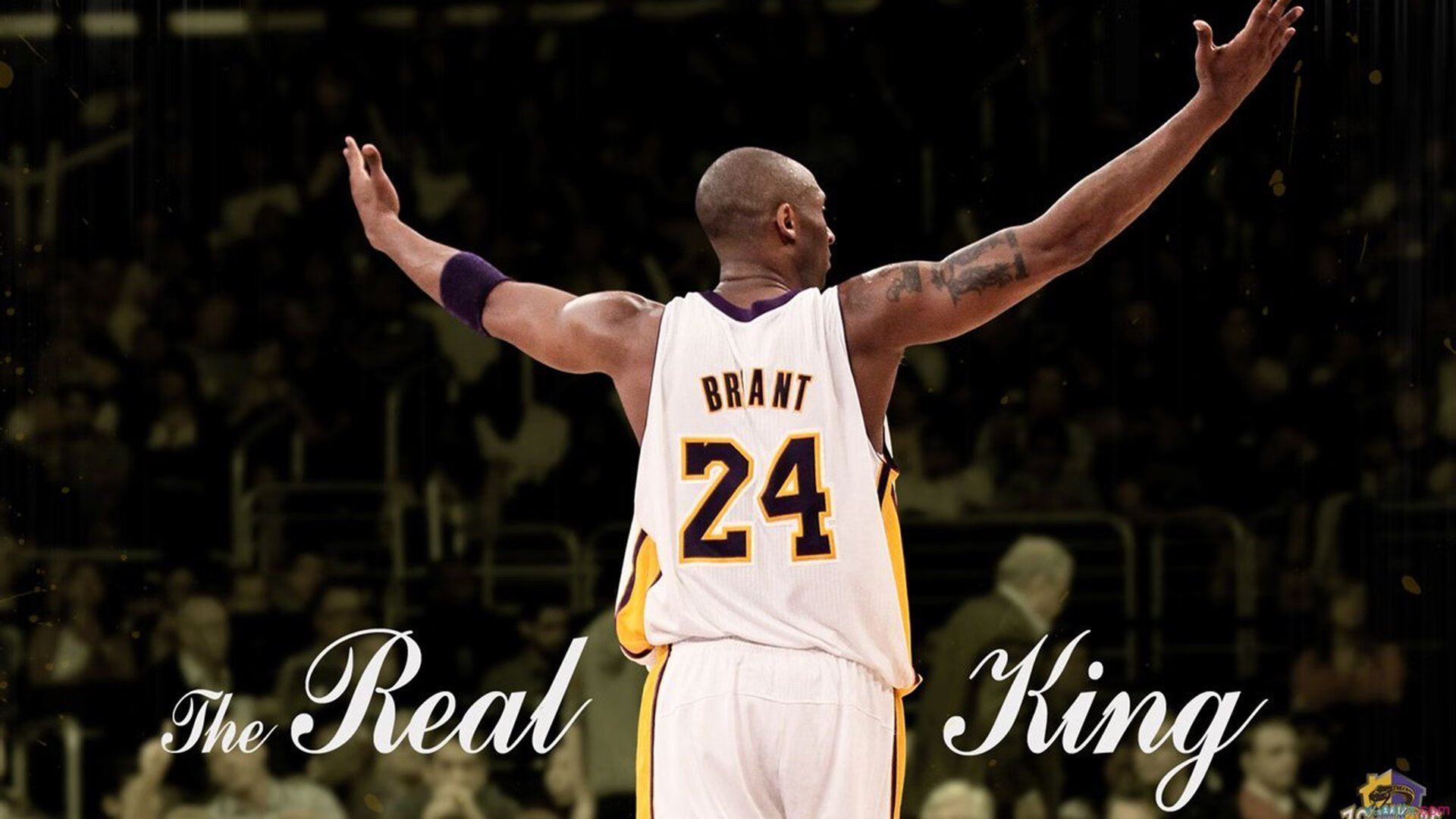 巴特勒遭遇七连败，澳大利亚队教练面临压力！